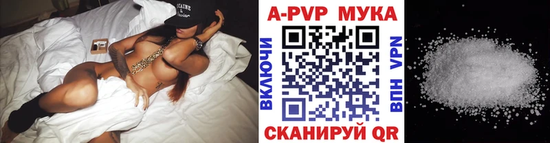 A PVP СК  Печора 